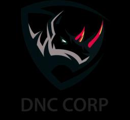 DNC CORP