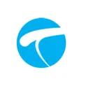 ORIENT IT SERVICES logo